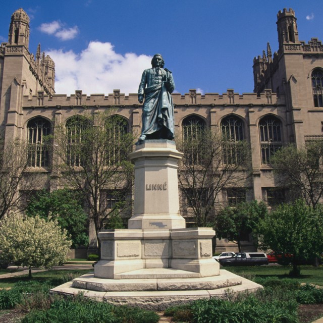 Department of Neurology | The University of Chicago