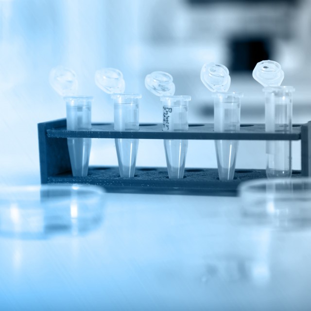 samples in vials